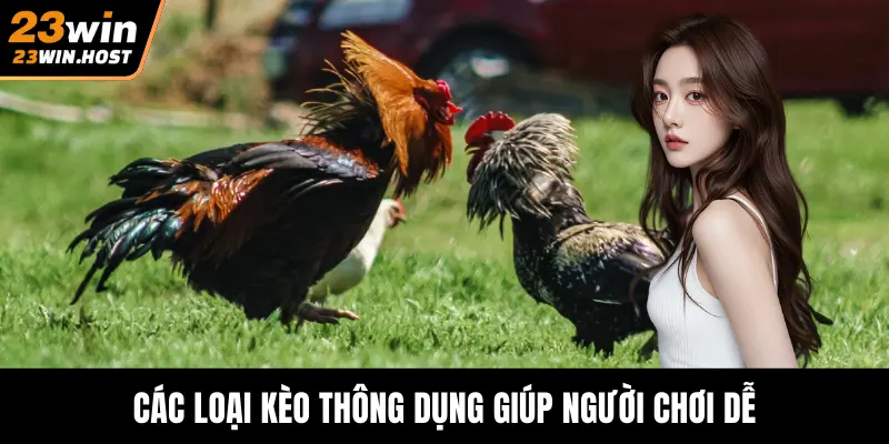 Các loại kèo thông dụng giúp người chơi dễ