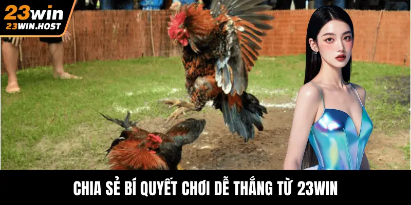 Chia sẻ bí quyết chơi dễ thắng từ 23WIN