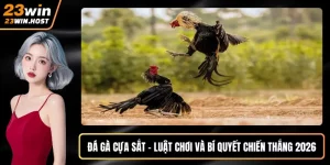 Đá gà cựa sắt