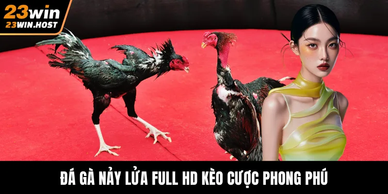 Đá gà nảy lửa full HD kèo cược phong phú