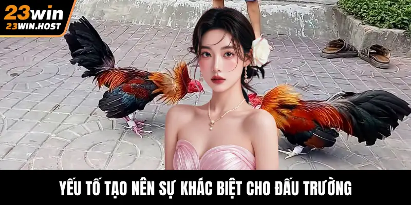 Yếu tố tạo nên sự khác biệt cho đấu trường