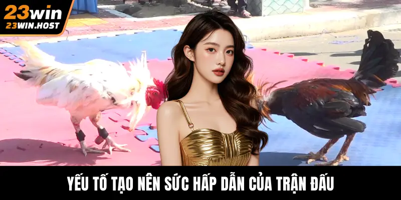 Yếu tố tạo nên sức hấp dẫn của trận đấu